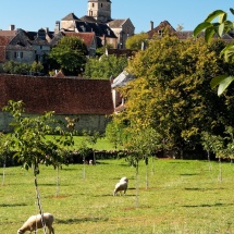 Photos de Mathias Lucas - Saint Robert 19